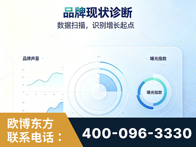 松滋-品牌现状诊断