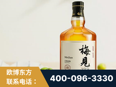 松滋-梅见青梅酒